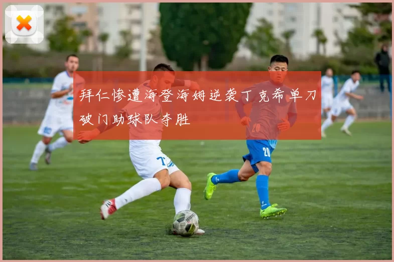 拜仁惨遭海登海姆逆袭丁克希单刀破门助球队夺胜